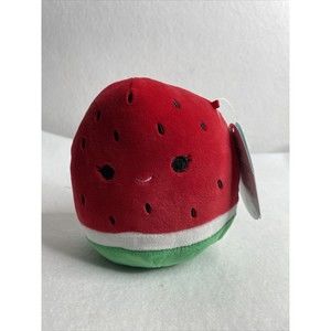 NWT Winsey the Watermelon 🍉 5” Squishmallow